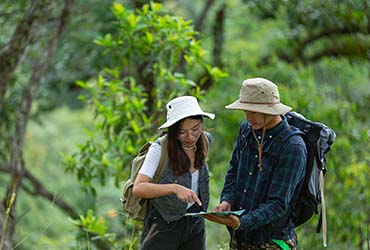 Monsoon Voyages Package